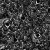 Skull-and-Snake-24.jpg