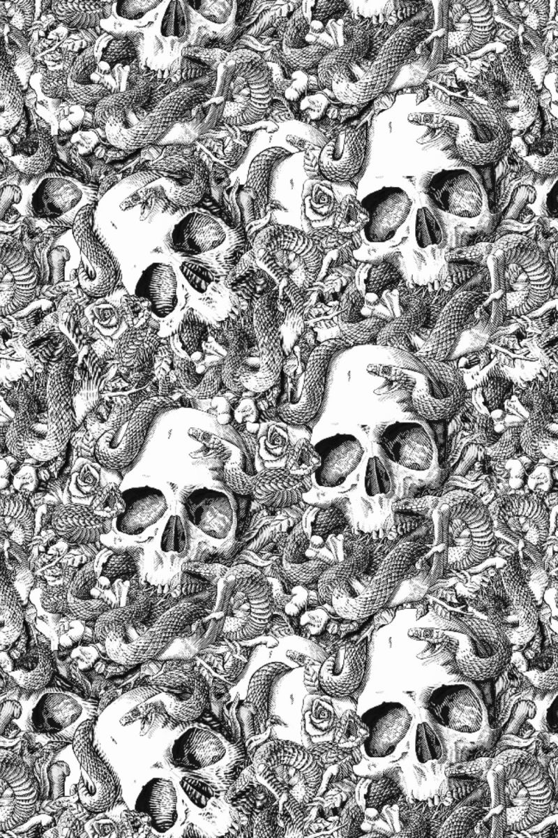 Skulls & Snake 27