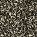 Skull-of-Bones-22.jpg