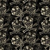 Skull-of-Bones-23.jpg