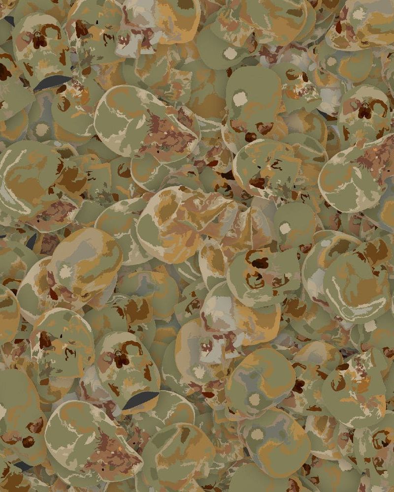 Skulls 25 Camouflage