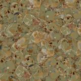 Skulls-25-Camo.jpg