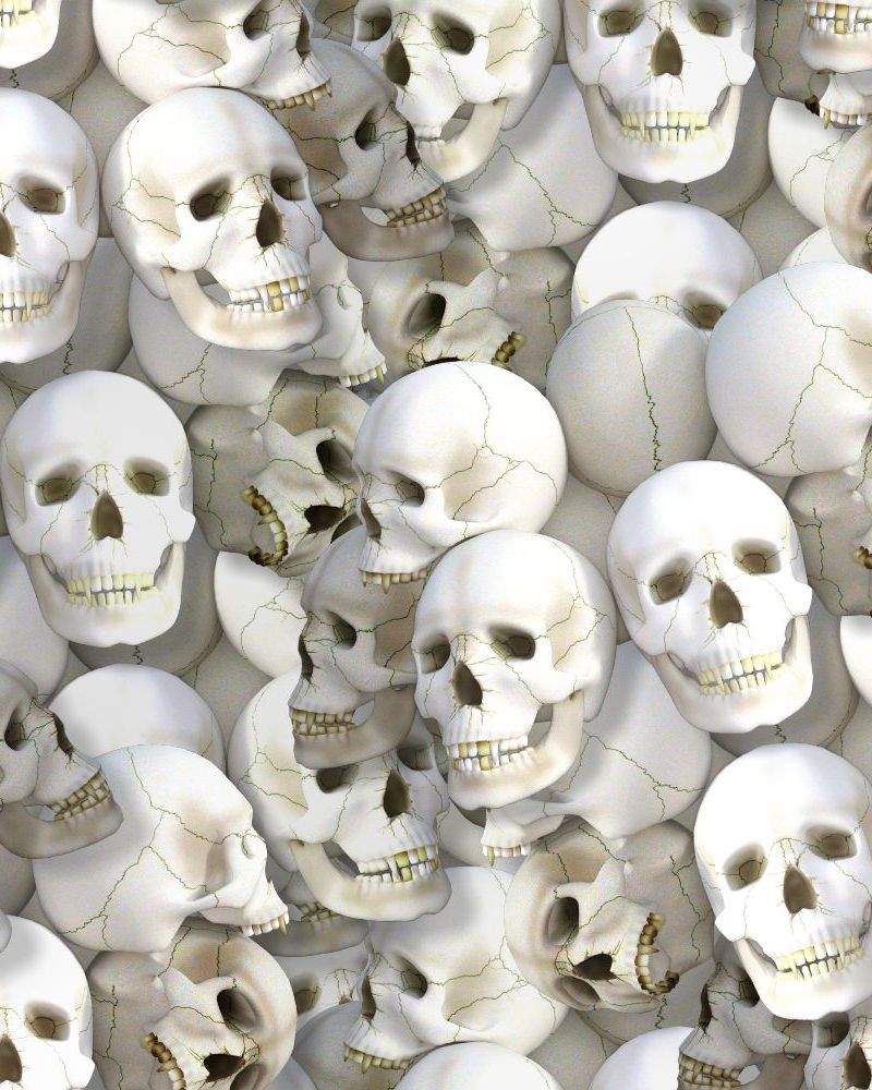 Skulls 666