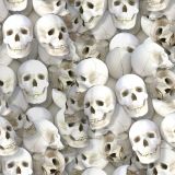 Skulls-666.jpg
