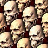 Skulls-on-Parade.jpg