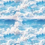Sky-Clouds-22.jpg