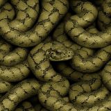 Snake-Camouflage-43.jpg