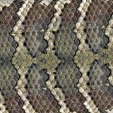 SnakeFish-Scales-22-thumb.jpg