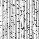 Snow-Birch-Camo.jpg