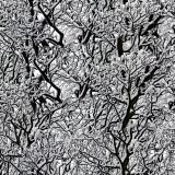 Snow-Tree-22-Camo.jpg