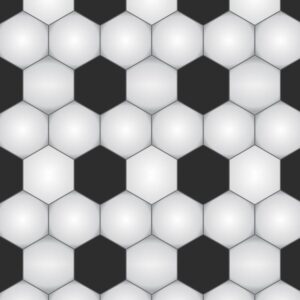 Soccer Balls 23