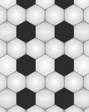 Soccer Balls 23