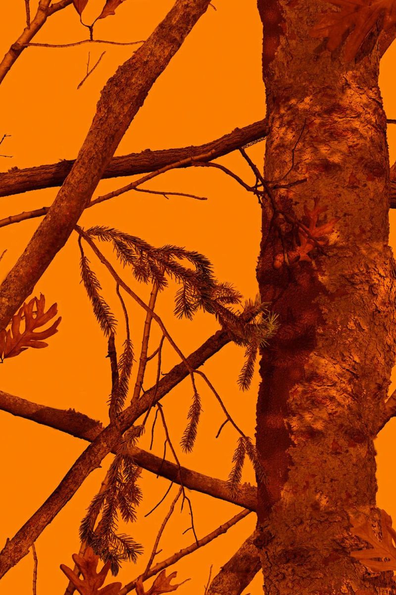 Solognac Blaze Camouflage
