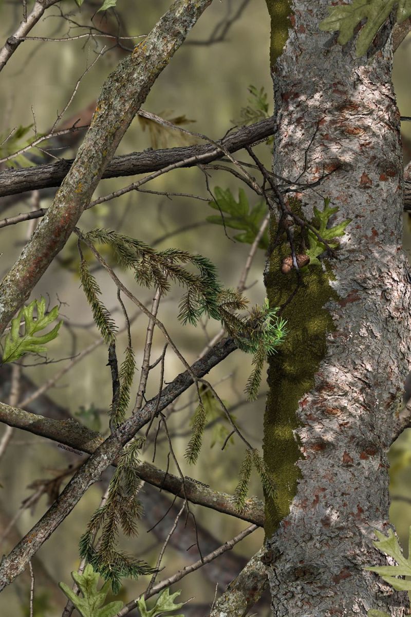 Solognac Green Camouflage