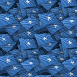 Somalia-Flag.jpg