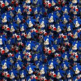 Sonic-22.jpg