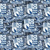 Southend-United-FC.jpg