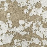 Spalled-Concrete.jpg