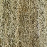 Spanish-Moss-Camo.jpg