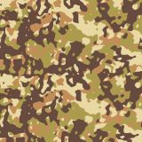 Spanish-Vegatato-Camo-thumb.jpg