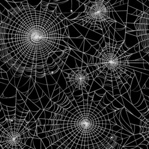 Spider Webs 21