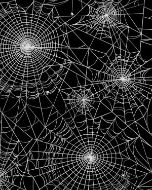 Spider Webs 21