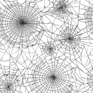 Spider Webs 22