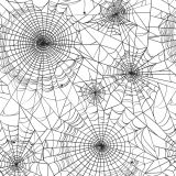 Spider-Webs-22.jpg
