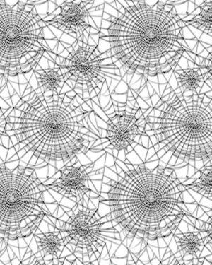 Spider Webs 23