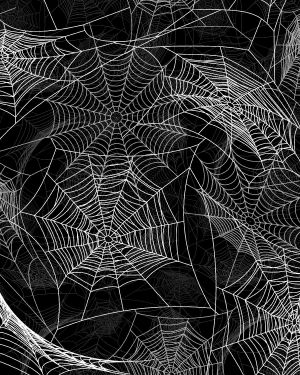 Spider Webs 25