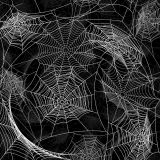 Spider-Webs-25.jpg