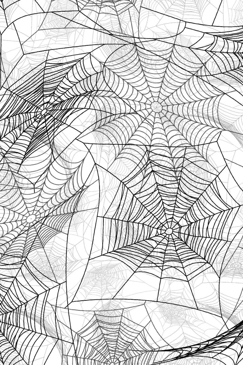 Spider Webs 26