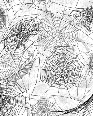Spider Webs 26