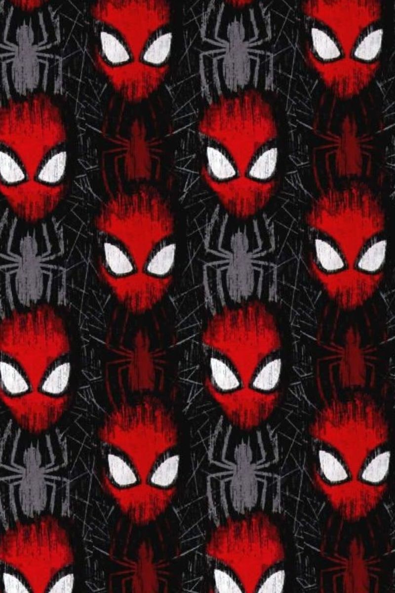 Spiderman 27