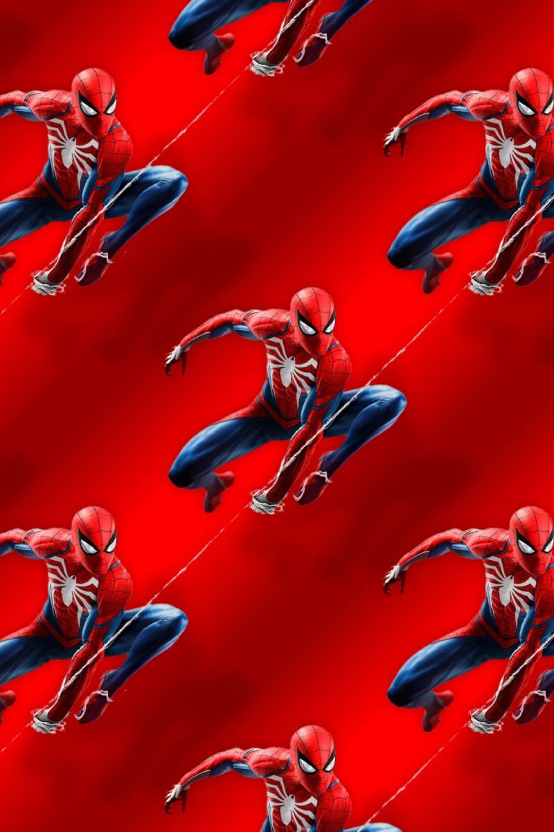 Spiderman on the Web 22