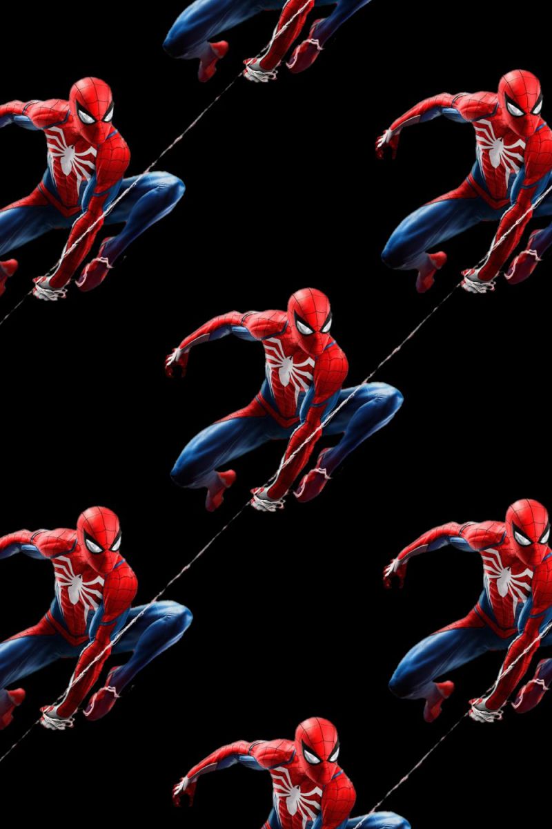 Spiderman on the Web 23