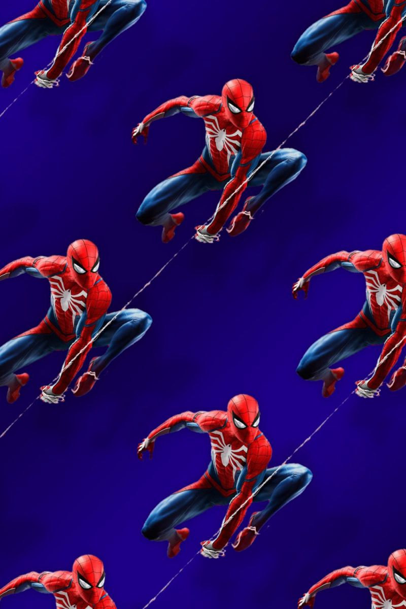 Spiderman on the Web 24