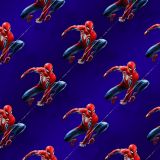 Spiderman-on-the-Web-24.jpg