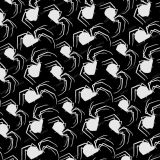 Spiders-Everywhere-21.jpg