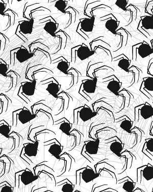 Spiders Everywhere 22