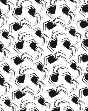 Spiders Everywhere 23