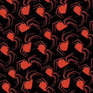 Spiders Everywhere 24