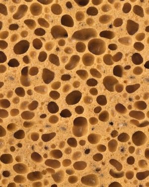Sponge Texture