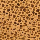 Sponge-Texture-thumb.jpg