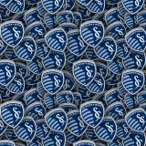 Sporting-Kansas-City-22.jpg