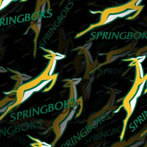 Springboks Rugby 22