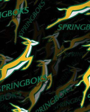 Springboks Rugby 22