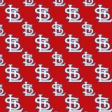 St-Louis-Cardinals-25.jpg