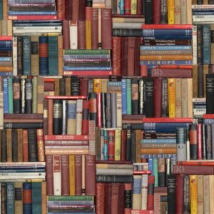 Stacks of Books 22