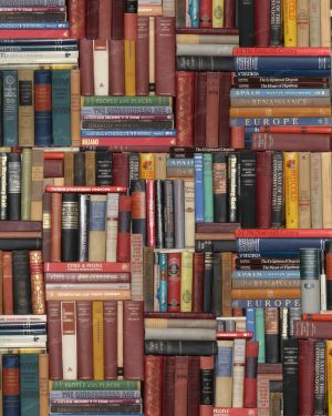 Stacks of Books 22